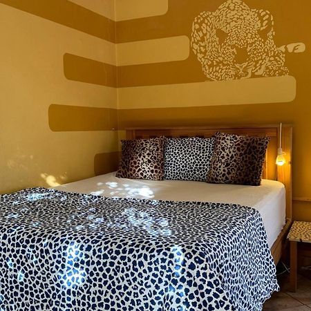 Paradisegarden Backpackers Windhoek Exterior photo