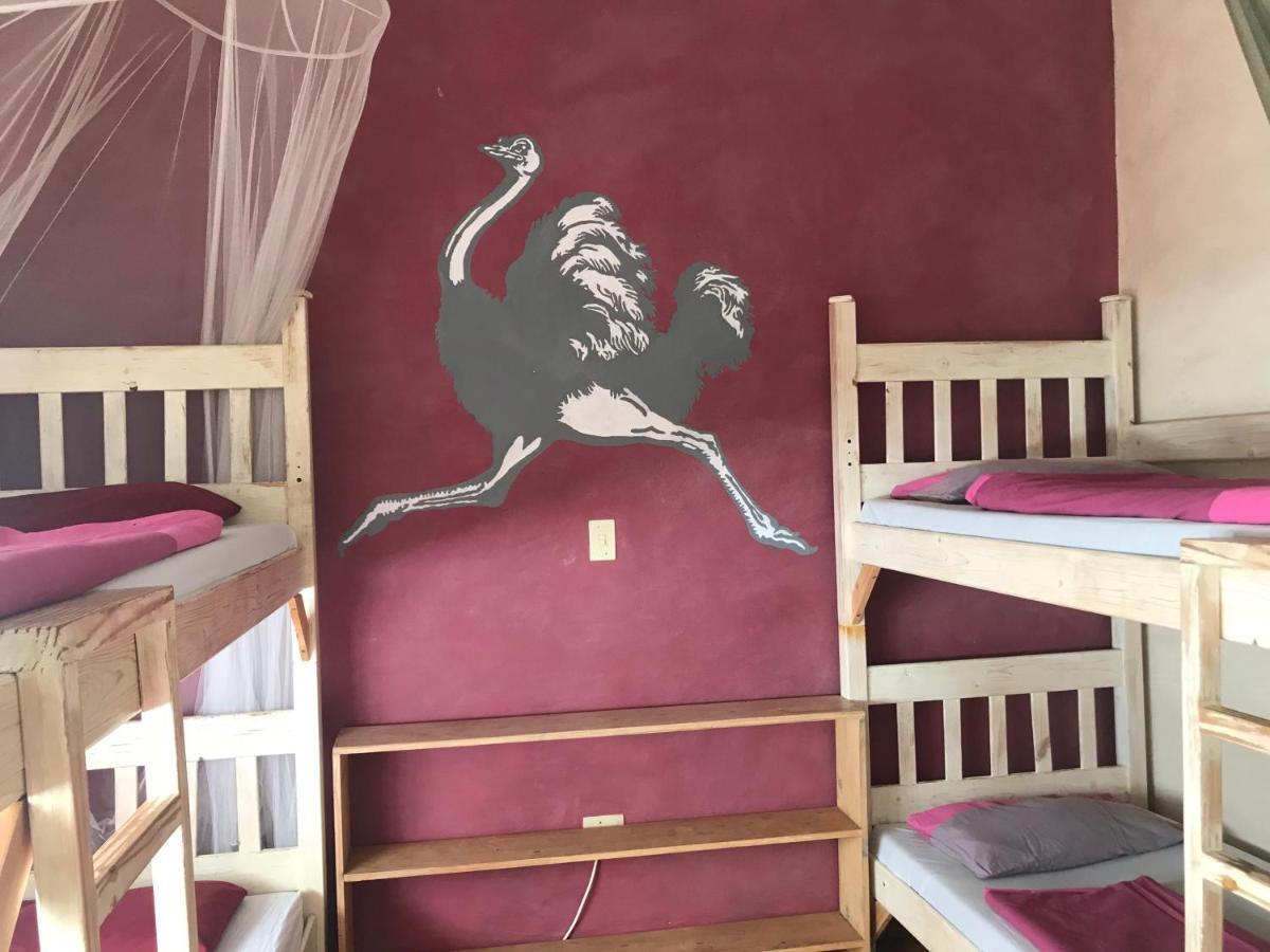 Paradisegarden Backpackers Windhoek Exterior photo